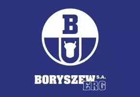 logo Boryszew